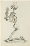 CHESELDEN, WILLIAM. Osteographia; or, The Anatomy of the Bones.  1733.  Lacks frontispiece.